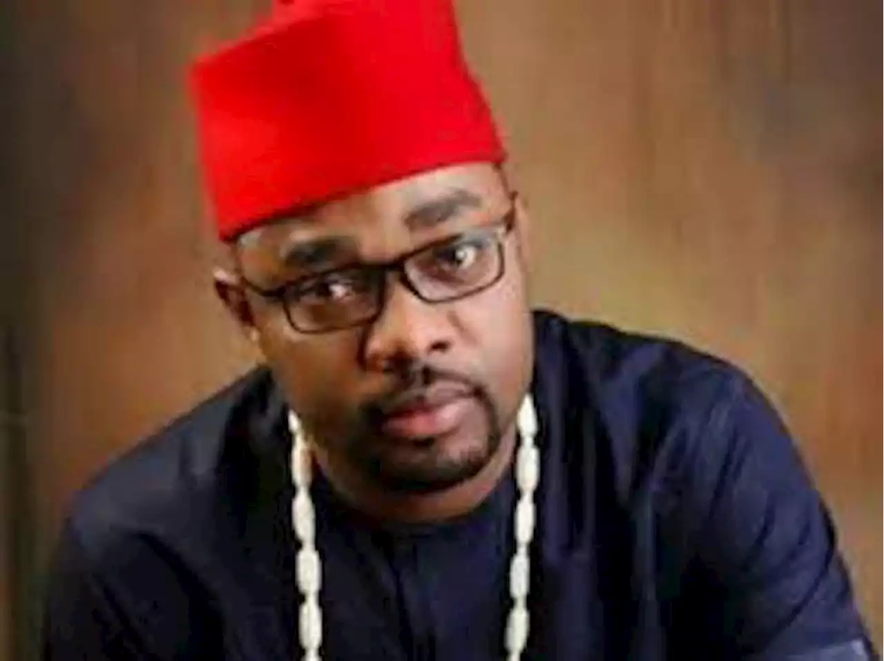 INEC Declares CUPP Spokesperson, Winner of Ideato Federal Constituency – THISDAYLIVE