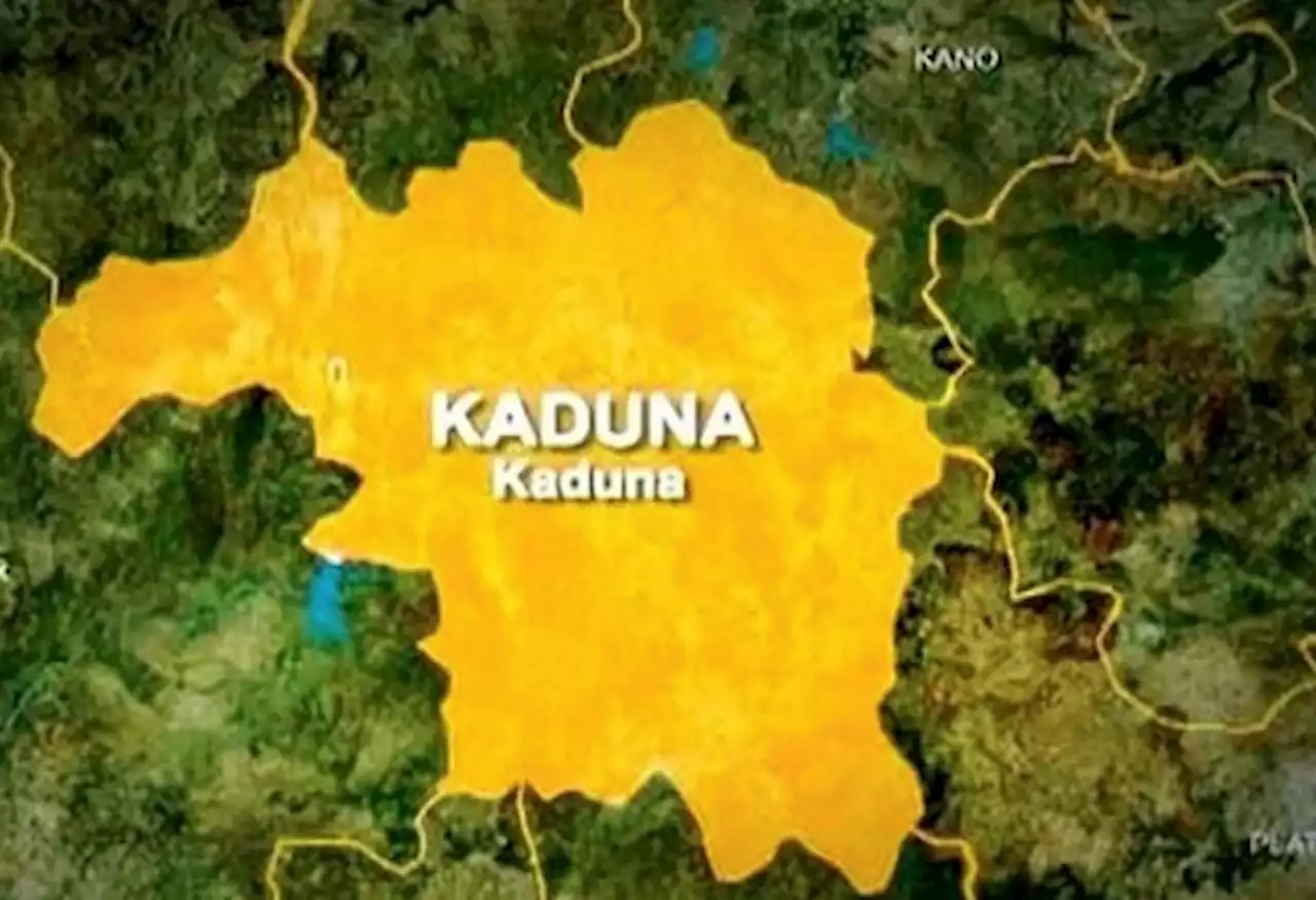 Kaduna PDP Chairman Loses LGA to LP – THISDAYLIVE