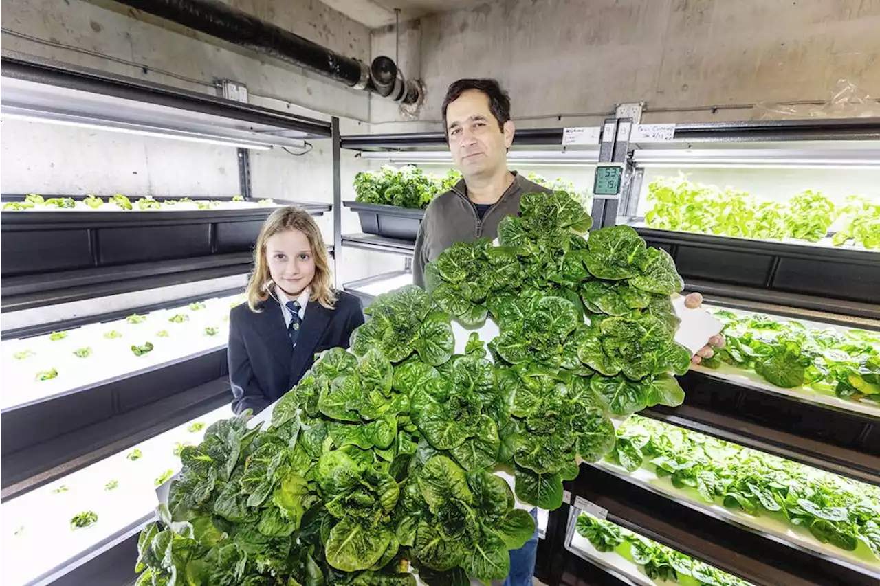 Vital People: Food-relief group turns underground parking into indoor farm