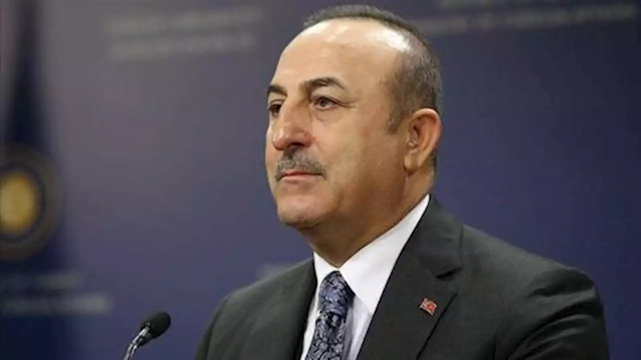 Türkiye can't approve Sweden's NATO bid unless pledges fulfilled: Cavusoglu