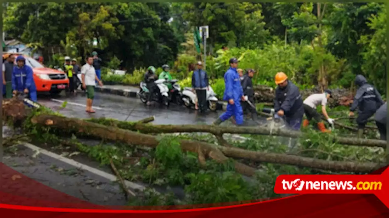 Hujan Disertai Angin Kencang, Tumbangkan Pohon dan Atap Rumah Warga di Kota Batu, Dua Pengendara Terluka