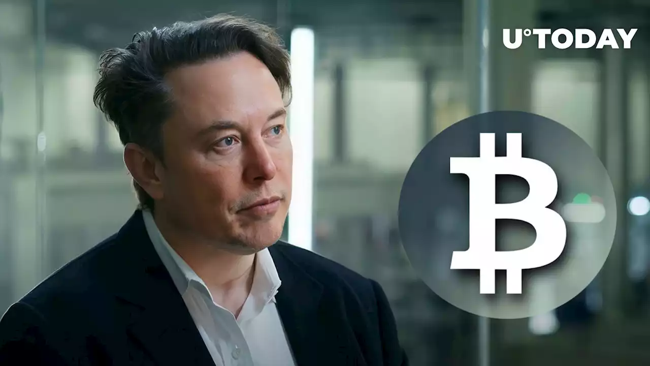 BTC Community Wants Elon Musk to Integrate Bitcoin Lightning Payments, Poll Says