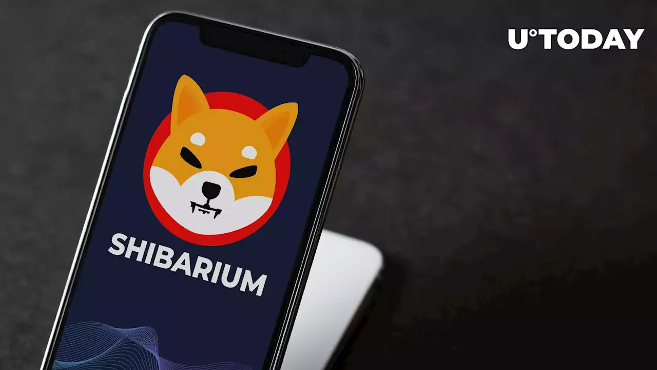 Shiba Inu's New Era Has Begun as Lead Developer Debuts Shibarium's Intake System