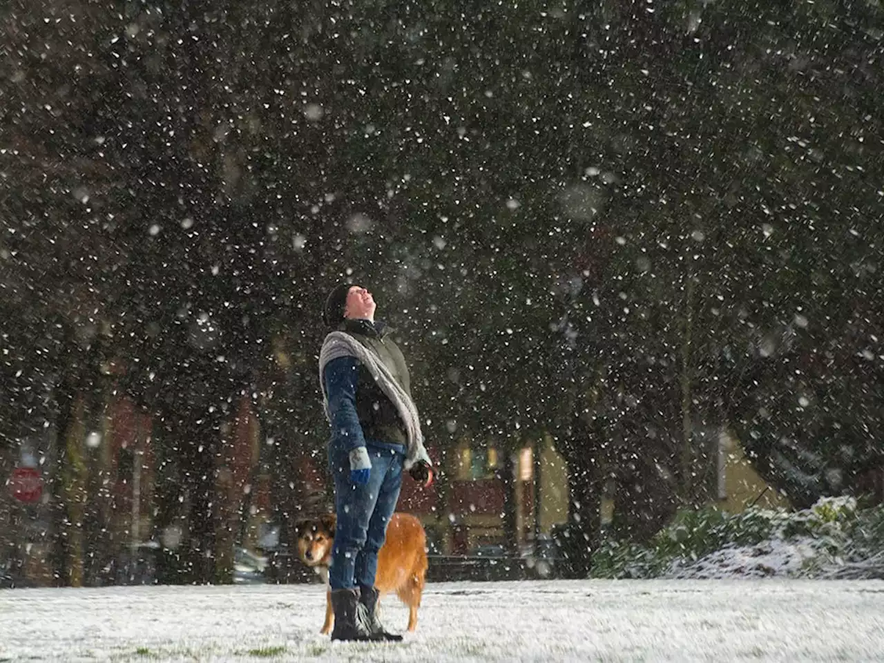 More snow: Up to 15 cm expected for parts of Vancouver Island