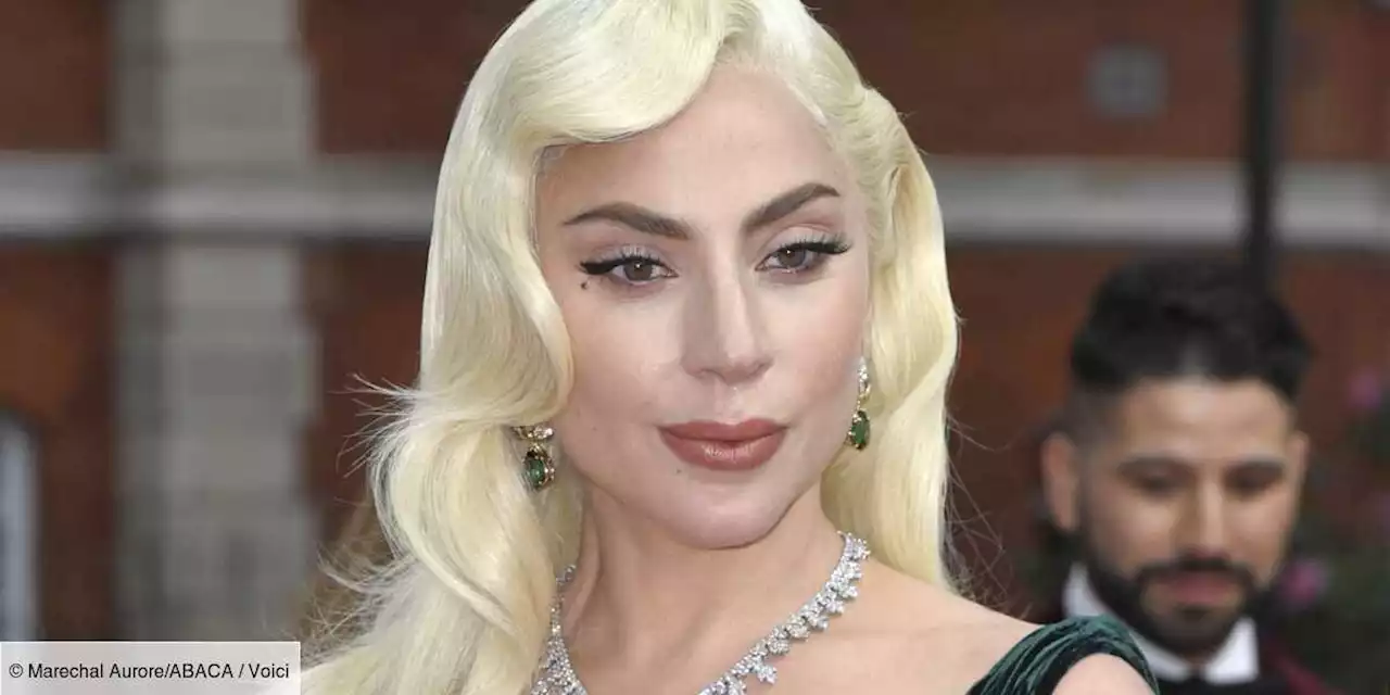 Lady Gaga attaquée en justice par une complice de ses voleurs de chiens - Voici