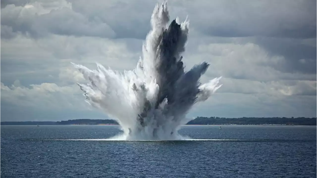 Lärm unter Wasser: Wie LNG-Terminals und Windanlagen die Meeresbewohner stressen