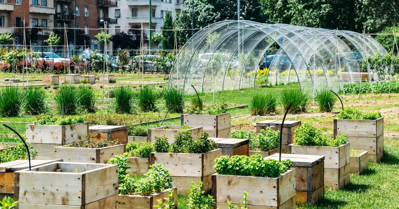 You Can Turn Your Backyard Into a Biodiversity Hotspot