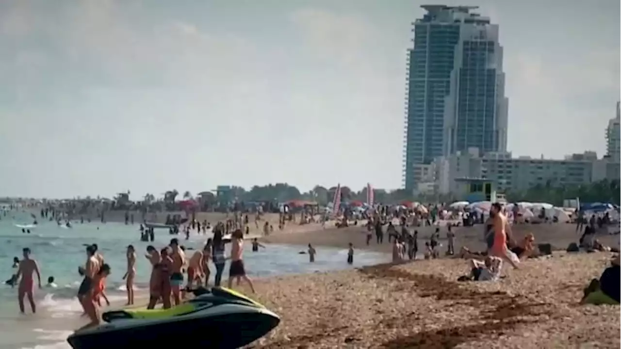 Watch out for spring break scams, BBB says