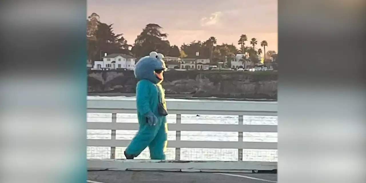 ‘Do not engage’: Police warn beachgoers of ‘creepy’ man in Cookie Monster costume