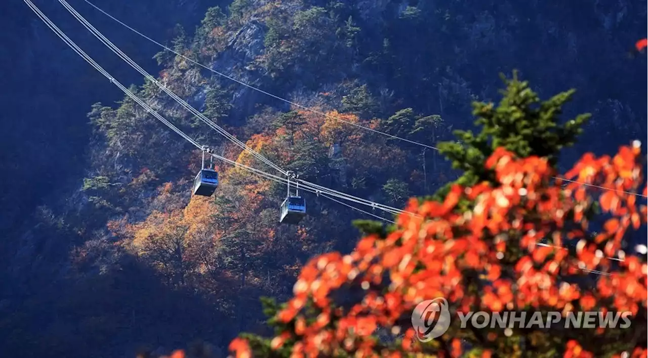 설악산에 새 케이블카 들어선다…환경평가 '조건부' 통과(종합) | 연합뉴스