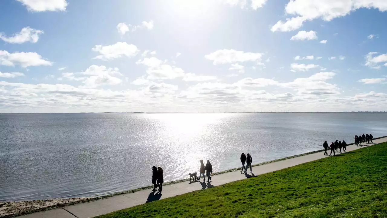 Klimakrise: DWD spricht vom zwölften zu warmen Winter