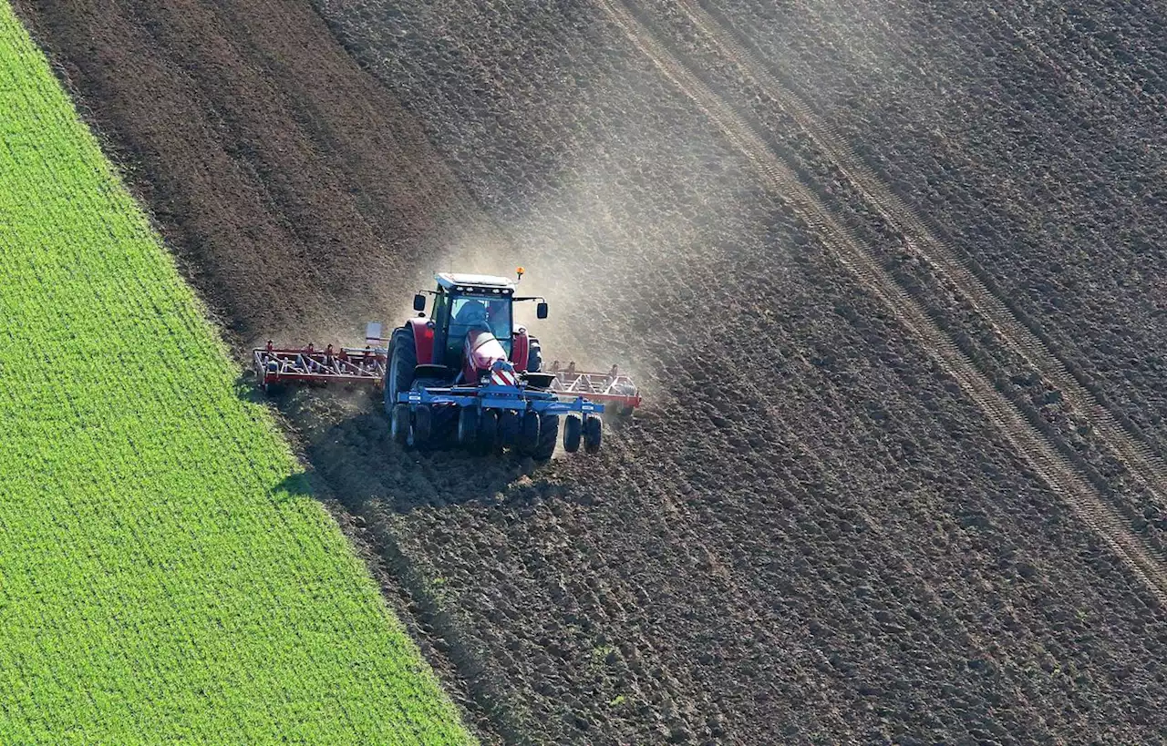 La France a-t-elle perdu « 100.000 exploitations agricoles en dix ans » ?