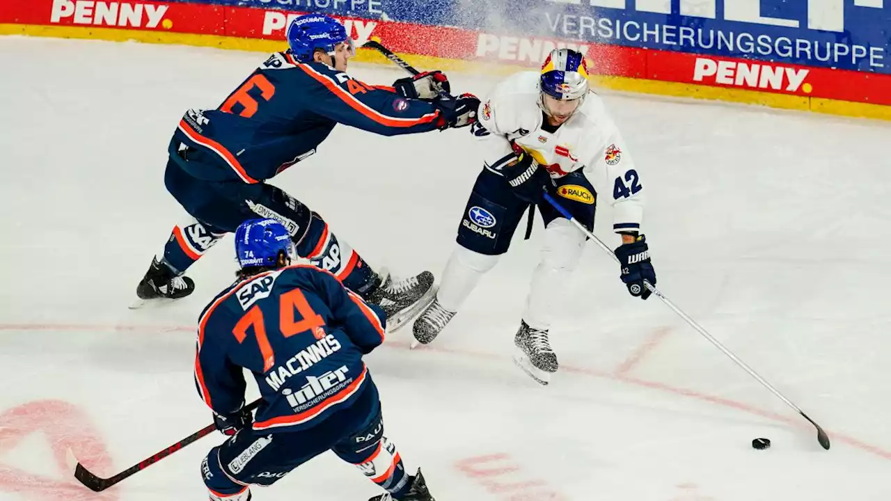 DEL Playoffs 2023: Modus, Teams, Spielplan und alle wichtigen Termine