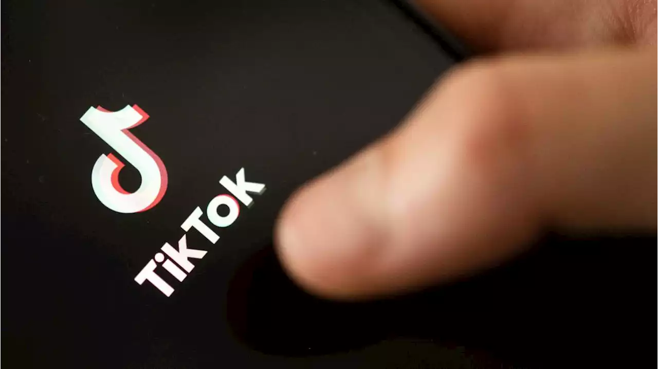 TikTok-Bann für Staatsangestellte: 'Hintertür für Kommunistische Partei Chinas'