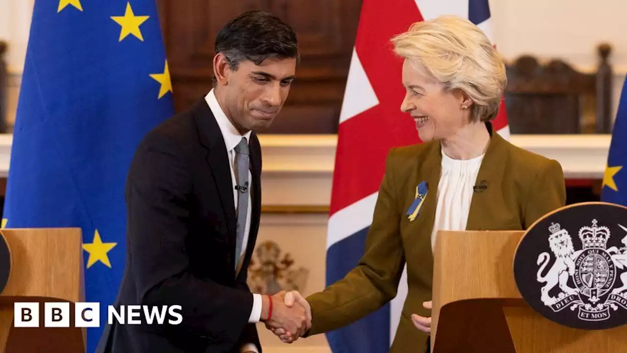 Rishi Sunak hails new NI Brexit deal but DUP concerns remain