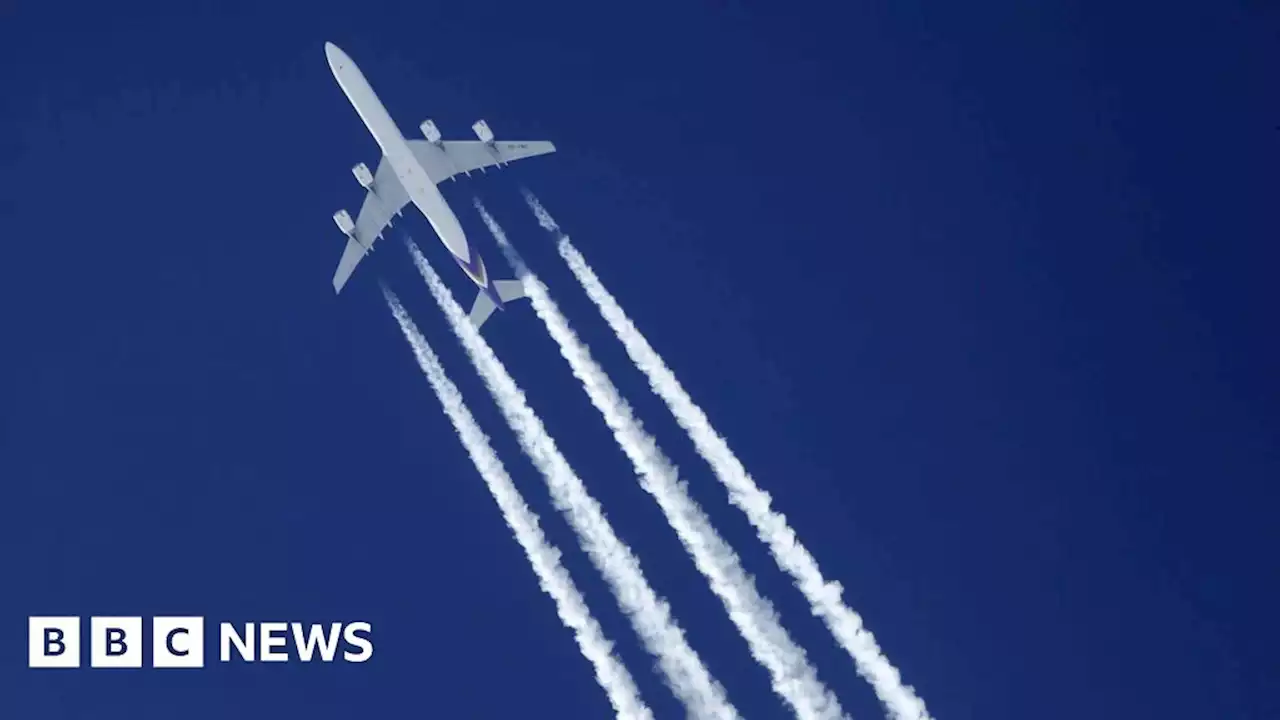 Green flights not in easy reach, warn scientists