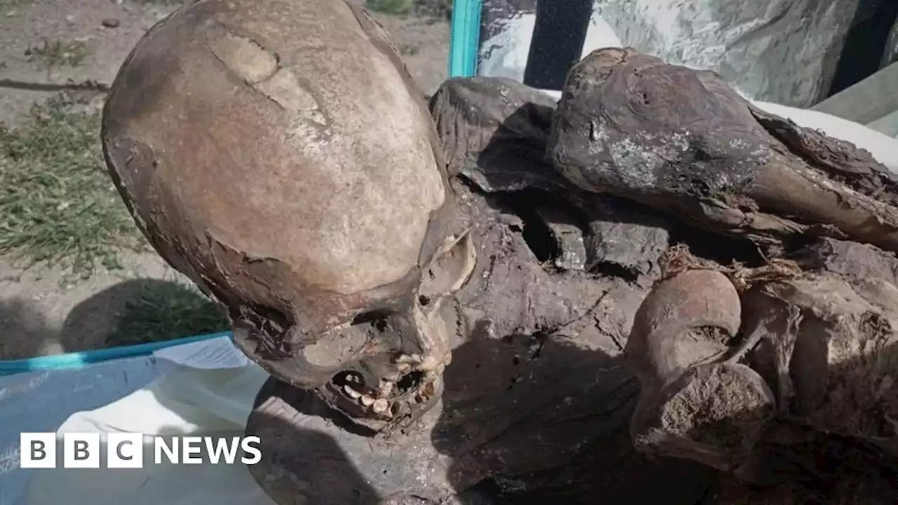 Peruvian delivery man carried ancient mummy around in his bag