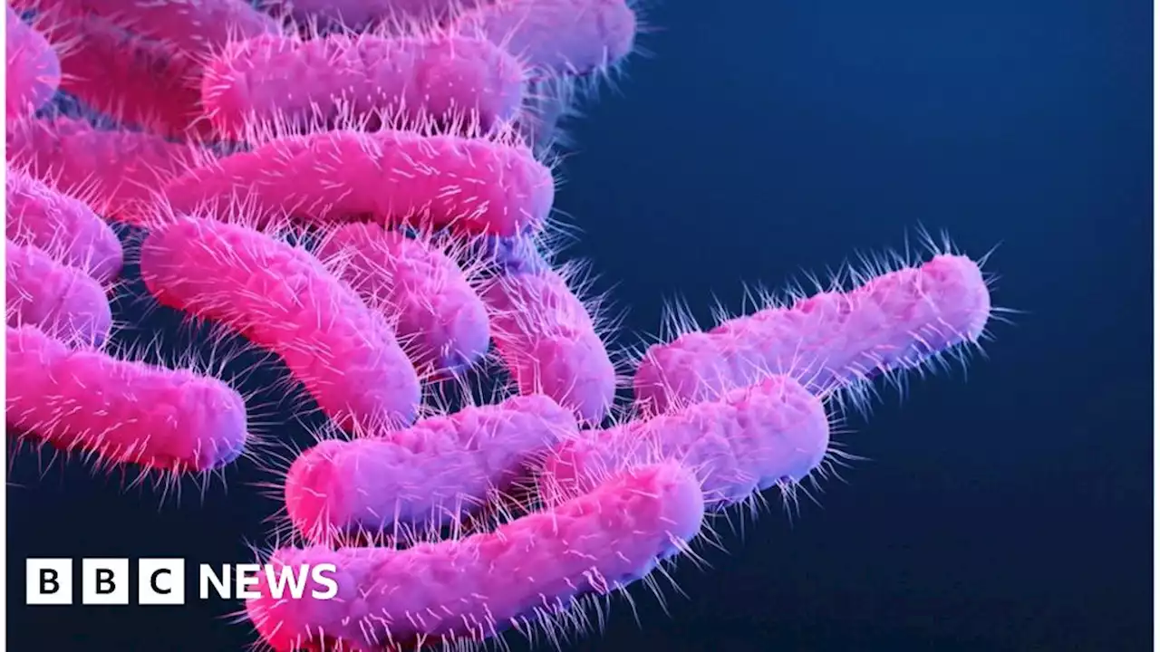 Shigella: CDC warns of increase in drug-resistant stomach bug