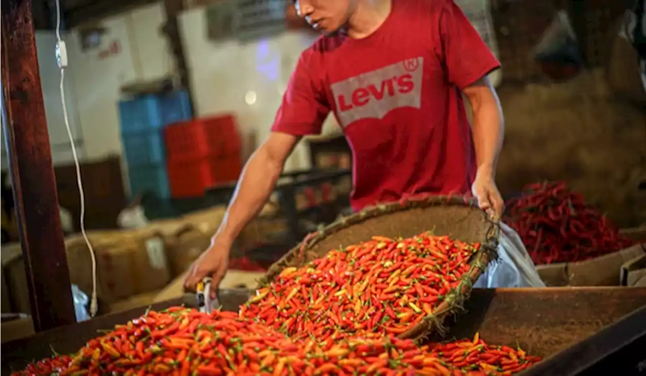 Cuaca Buruk, Harga Bahan Pokok di Kediri Merangkak Naik