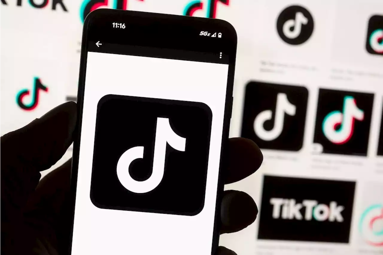 USA und Kanada verbieten Tiktok auf Regierungs-Handys