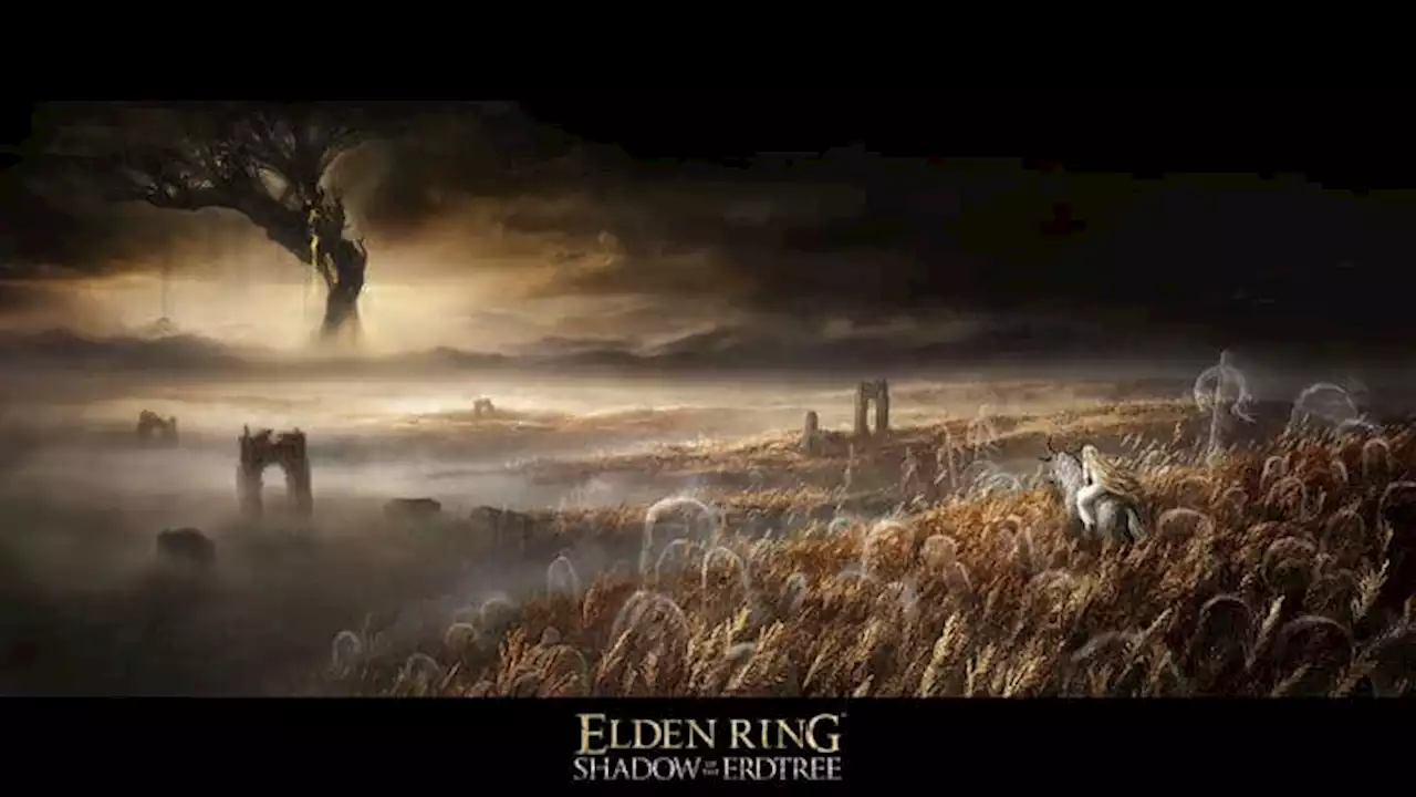 Elden Ring: le jeu vidéo de l’année 2022 aura droit à une extension