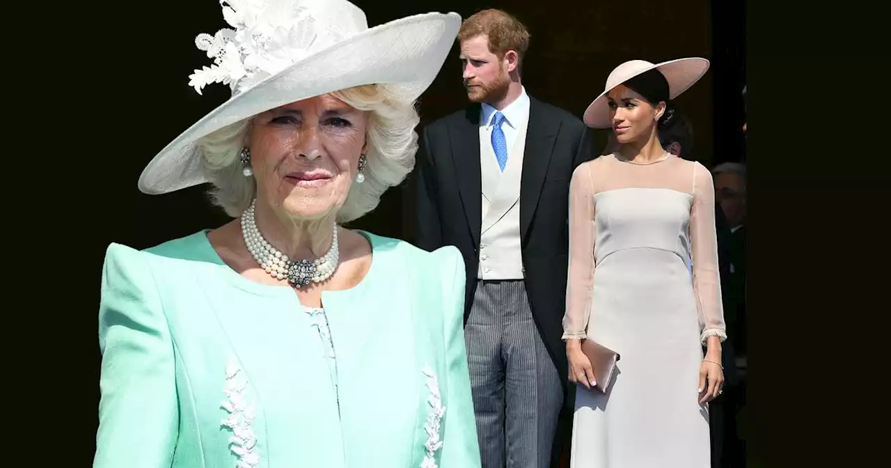 Königin Camilla: Verdrängen ihre Enkelkinder jetzt Harry und Meghan?