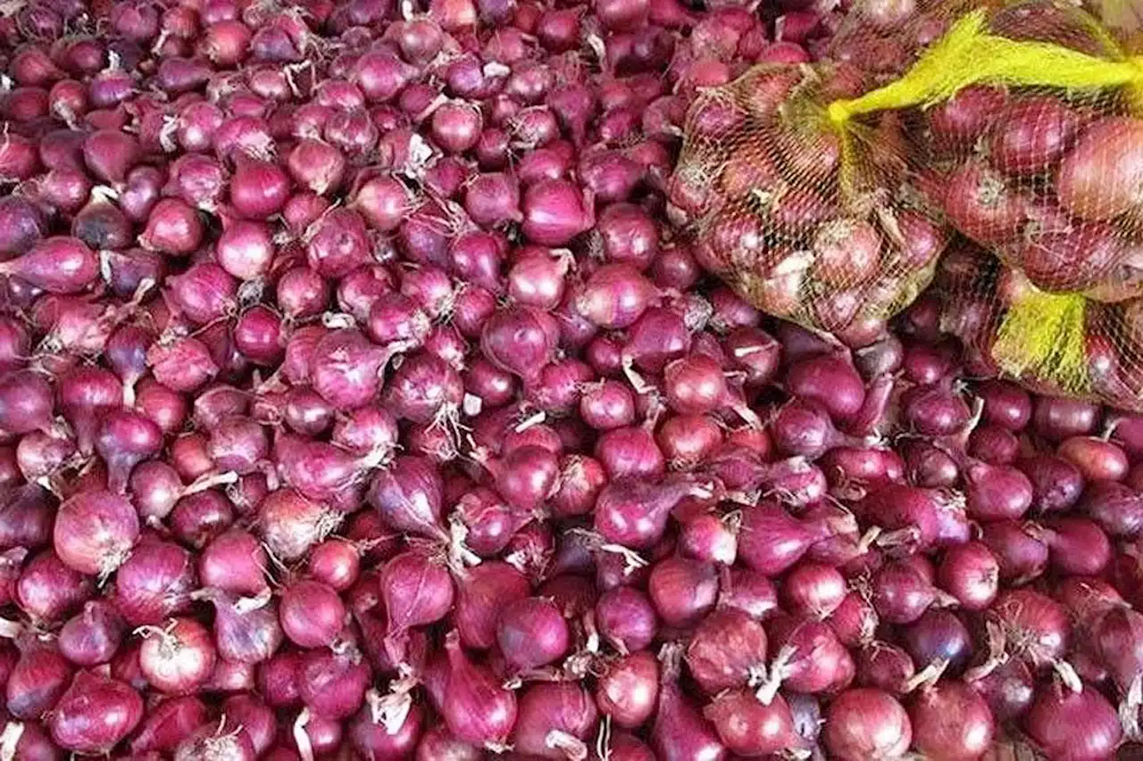 PCC sees onion ‘cartel’ probe done in 2-3 months - BusinessWorld Online