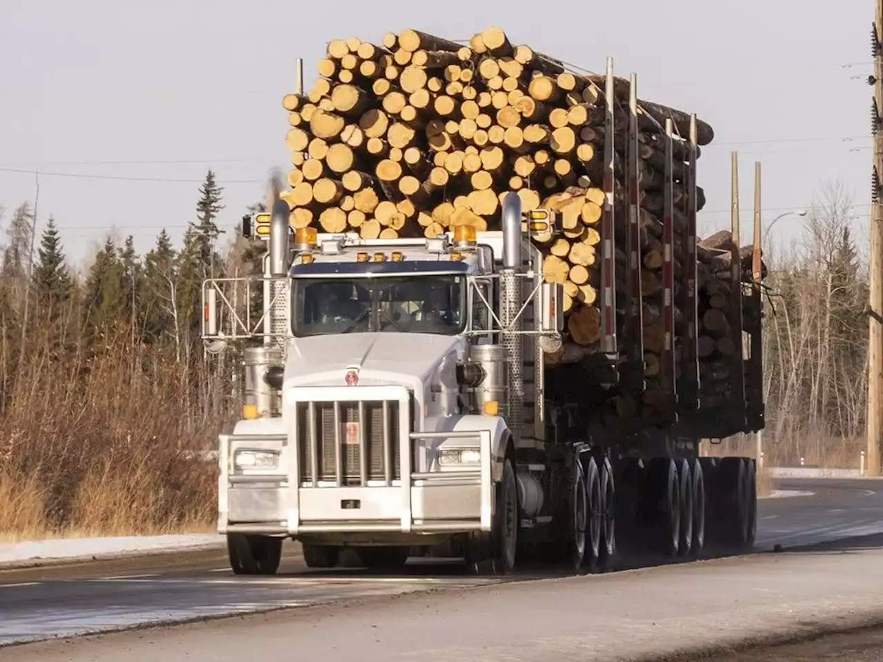 Logging truck driver dead after triggering multi-vehicle crash near Grovedale: Grande Prairie RCMP