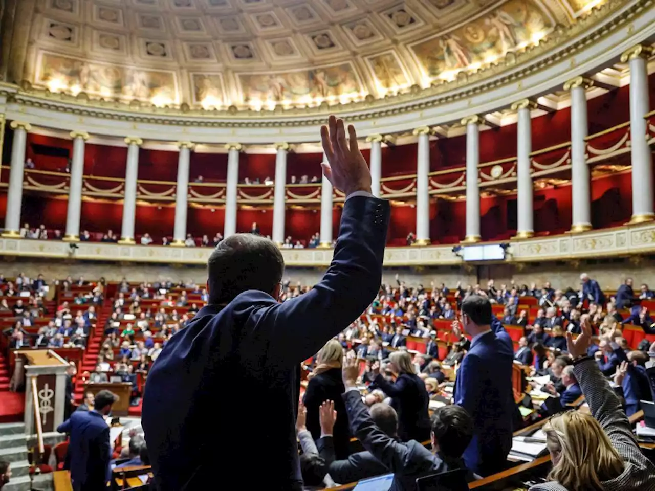 MPs' binge drinking, rowdy behaviour sparks move to limit alcohol in French parliament