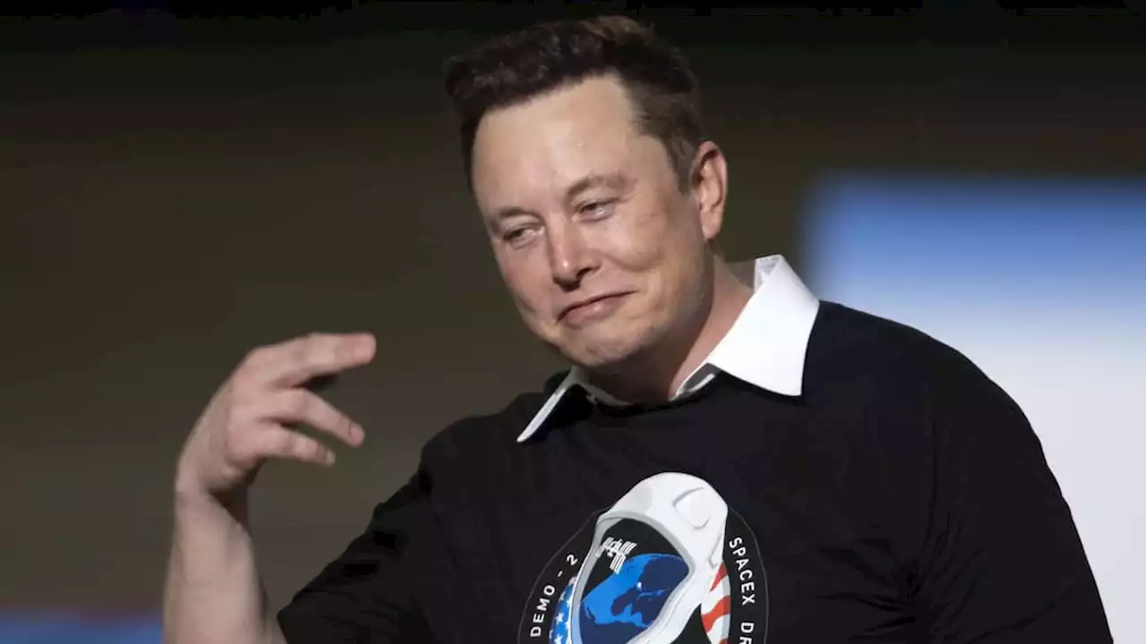 Auch Musk will ChatGPT Konkurrenz machen