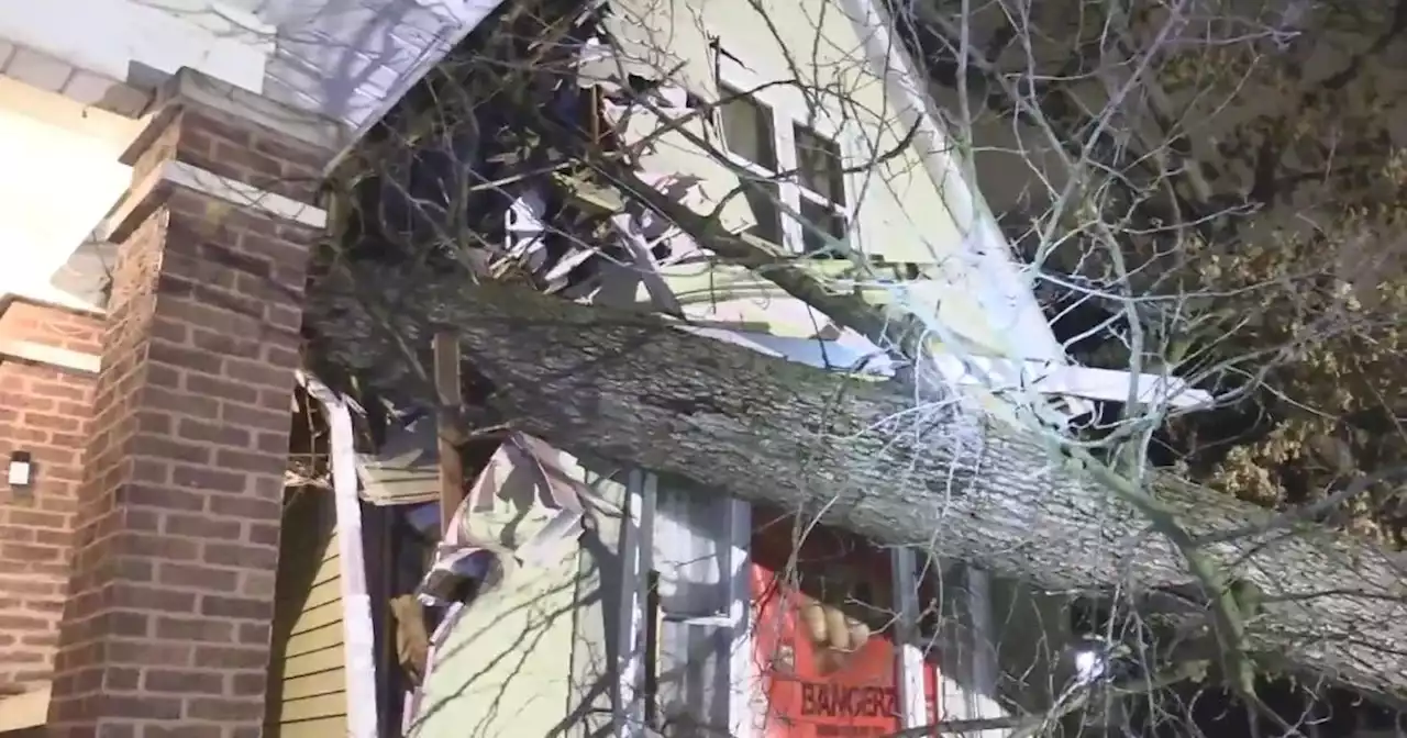 Massive tree falls on two houses in Beverly