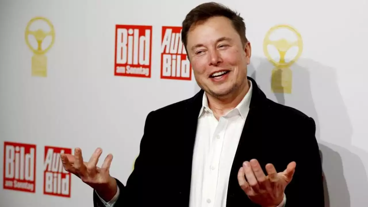 Elon Musk recruits team to develop OpenAI rival - The Information