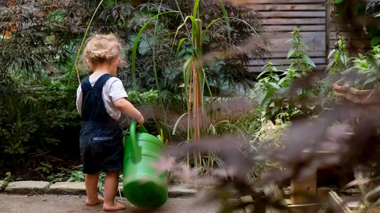 So gärtnern Sie stressfrei mit den Kindern