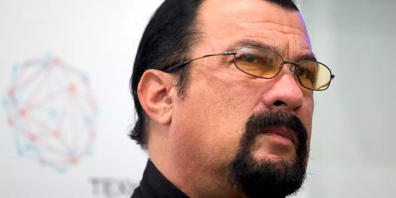 Putin bestows friendship award on actor Steven Seagal