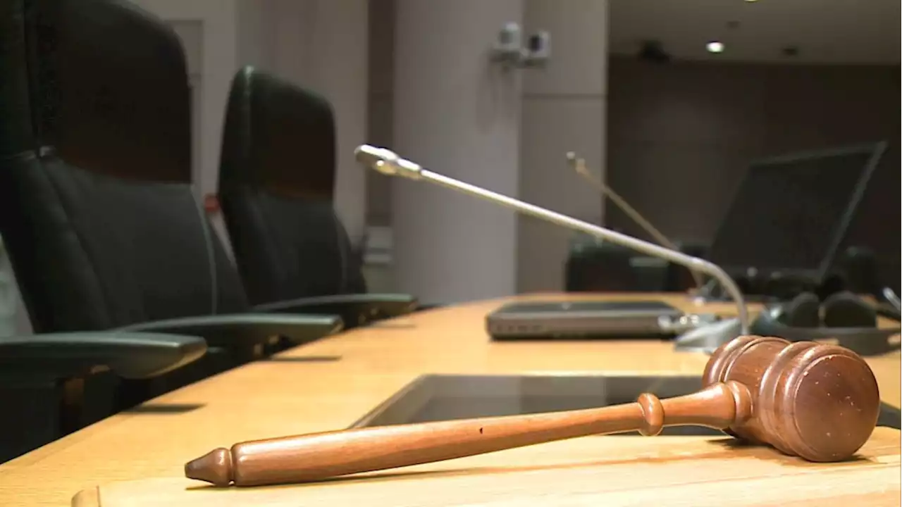 Ottawa Police Services Board changing how public delegations work