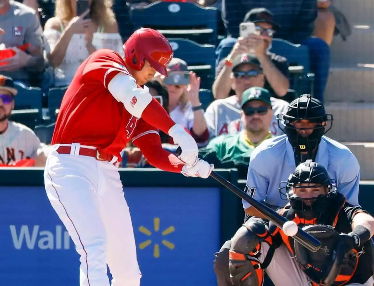 大谷翔平、ＷＢＣ米代表候補ウェブから痛烈中前打 ３・１藤浪晋太郎との投げ合いは投手専念 指揮官「明日は打たないと思う」/デイリースポーツ online