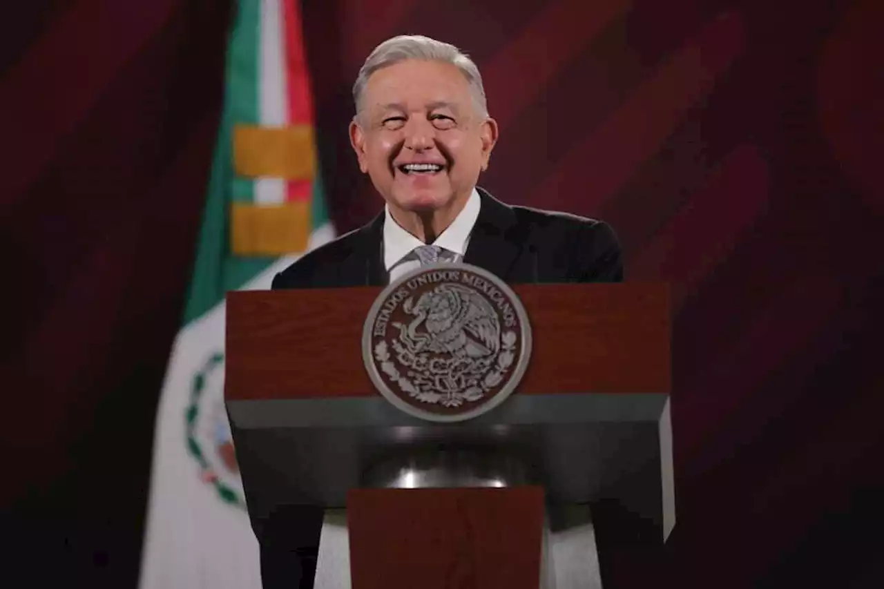 AMLO manda a Diputados iniciativa para aumentar penas por tala ilegal y otra sobre precursores