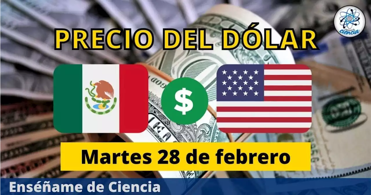 Precio del dólar hoy martes 28 de febrero, ¿cómo amaneció el tipo de cambio en México?