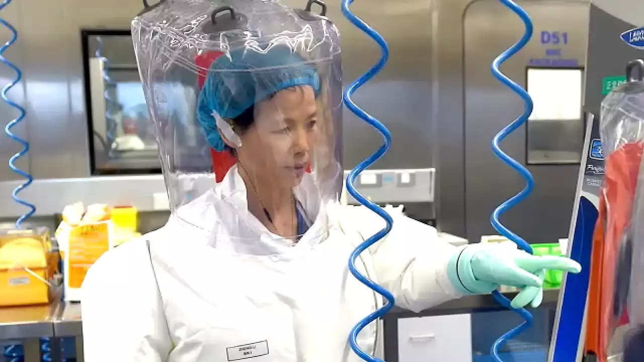 COVID lab leak theory appears vindicated after Energy Department report: 'They censored us, trashed us'