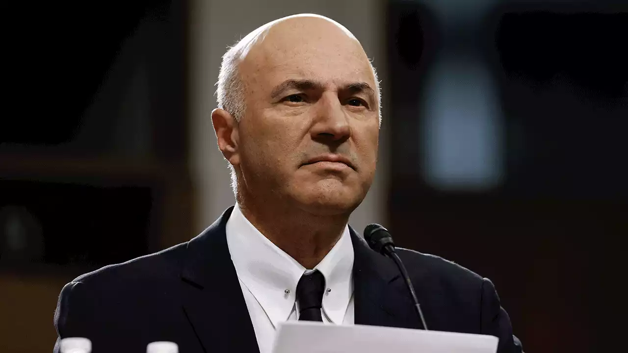 'Shark Tank's' Kevin O'Leary slams blue-state regulation: 'Massachusetts is at war with entrepreneurship'