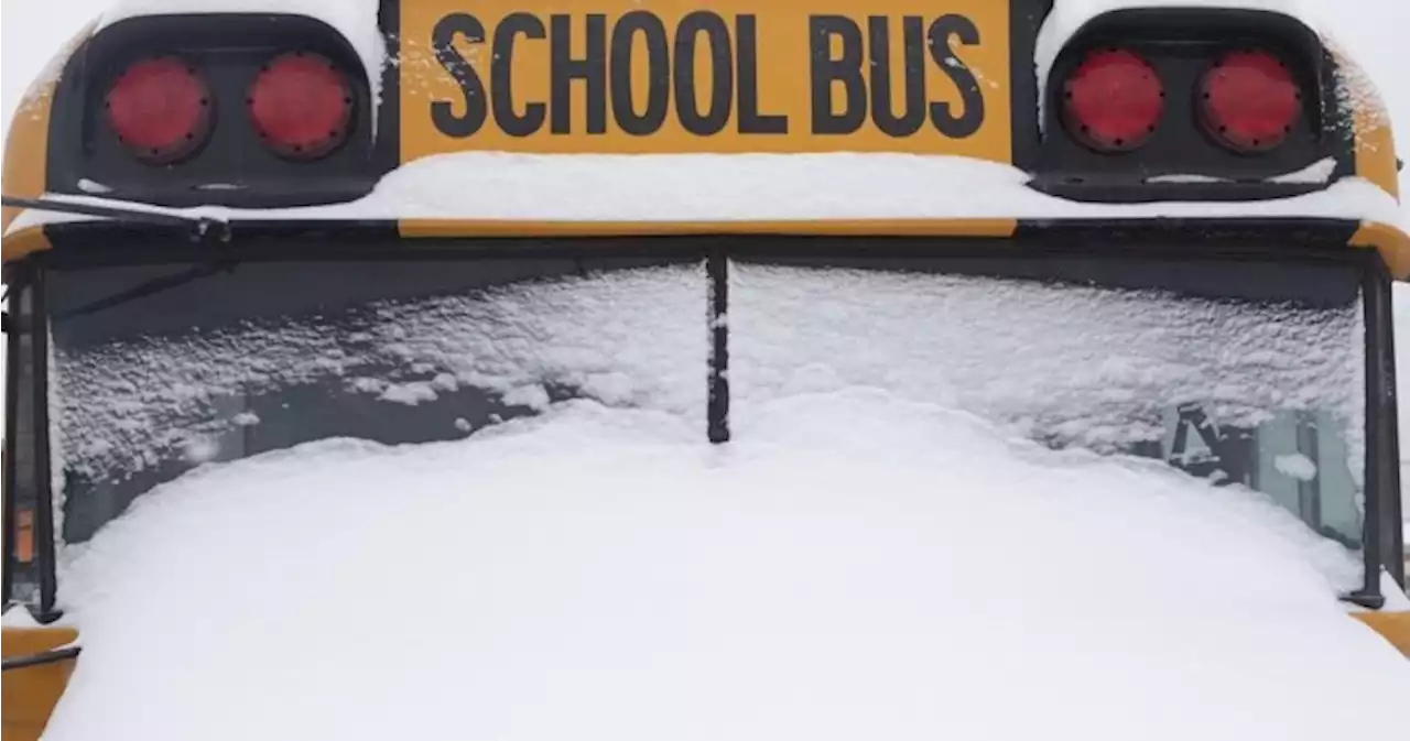 Buses cancelled in Waterloo Region, Guelph Tuesday but schools are open | Globalnews.ca