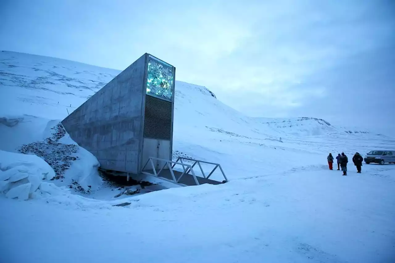 ‘Doomsday’ Arctic seed vault gets boost as efforts to secure food supplies ramp up