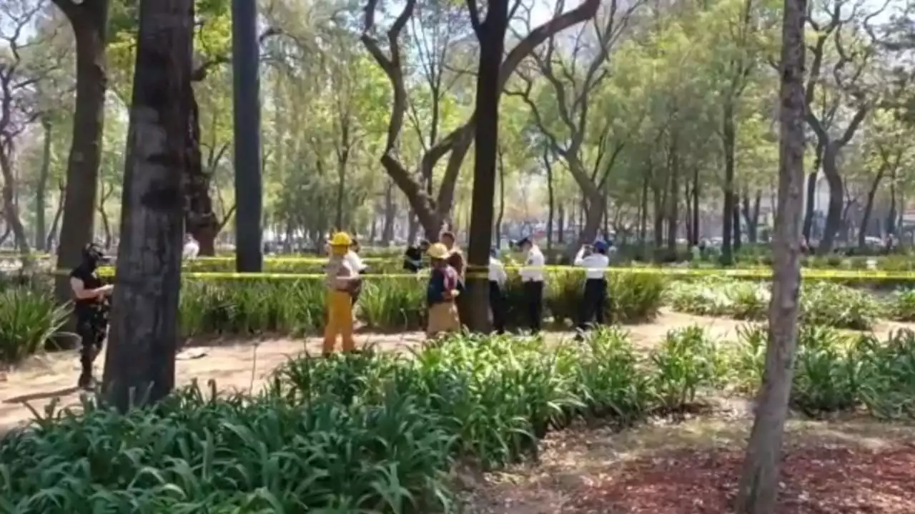 Macabro hallazgo en la Alameda Central: encuentran un cadáver a unos metros de Bellas Artes