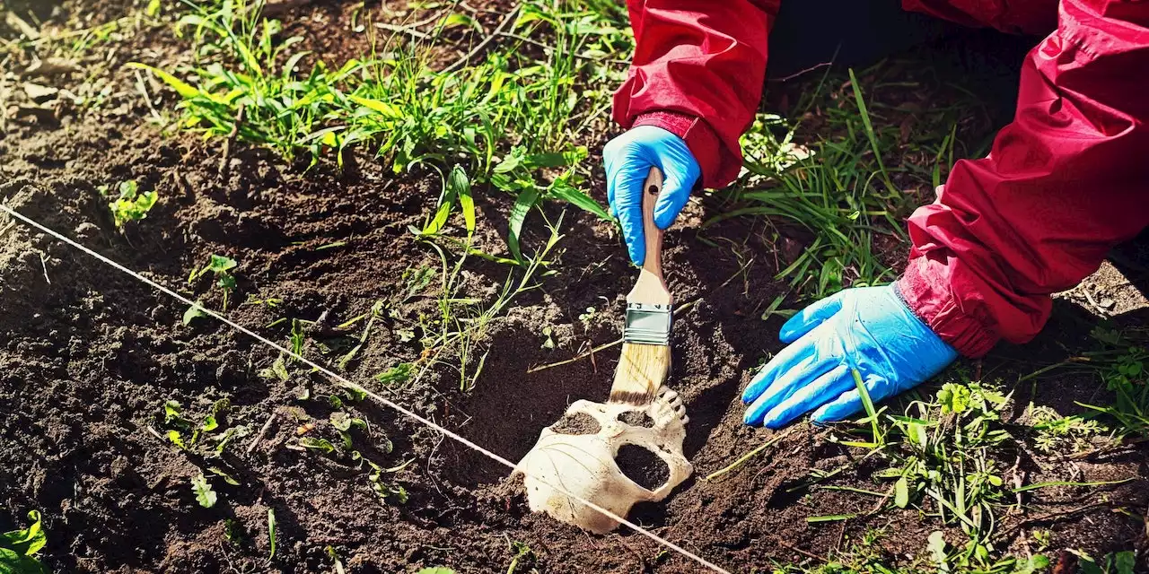 Skelettierte Leiche entdeckt – Polizei steht vor Rätsel