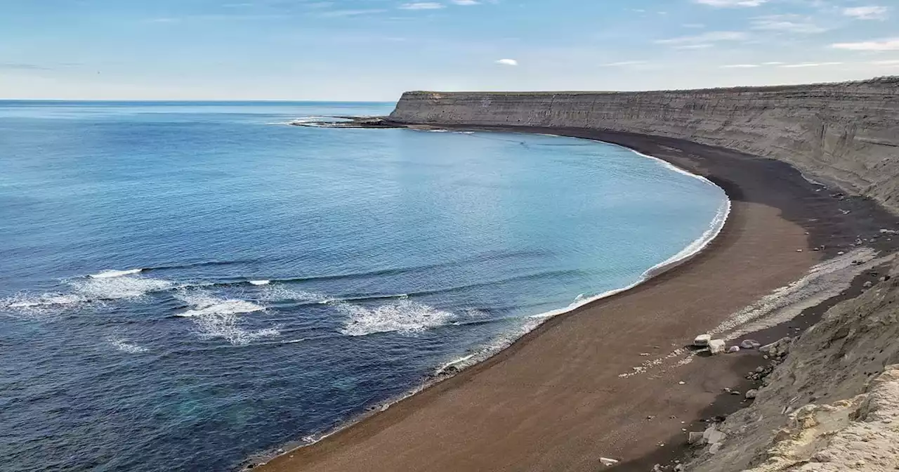 Argentine Fishermen Find Remains Of Missing Man Inside Shark