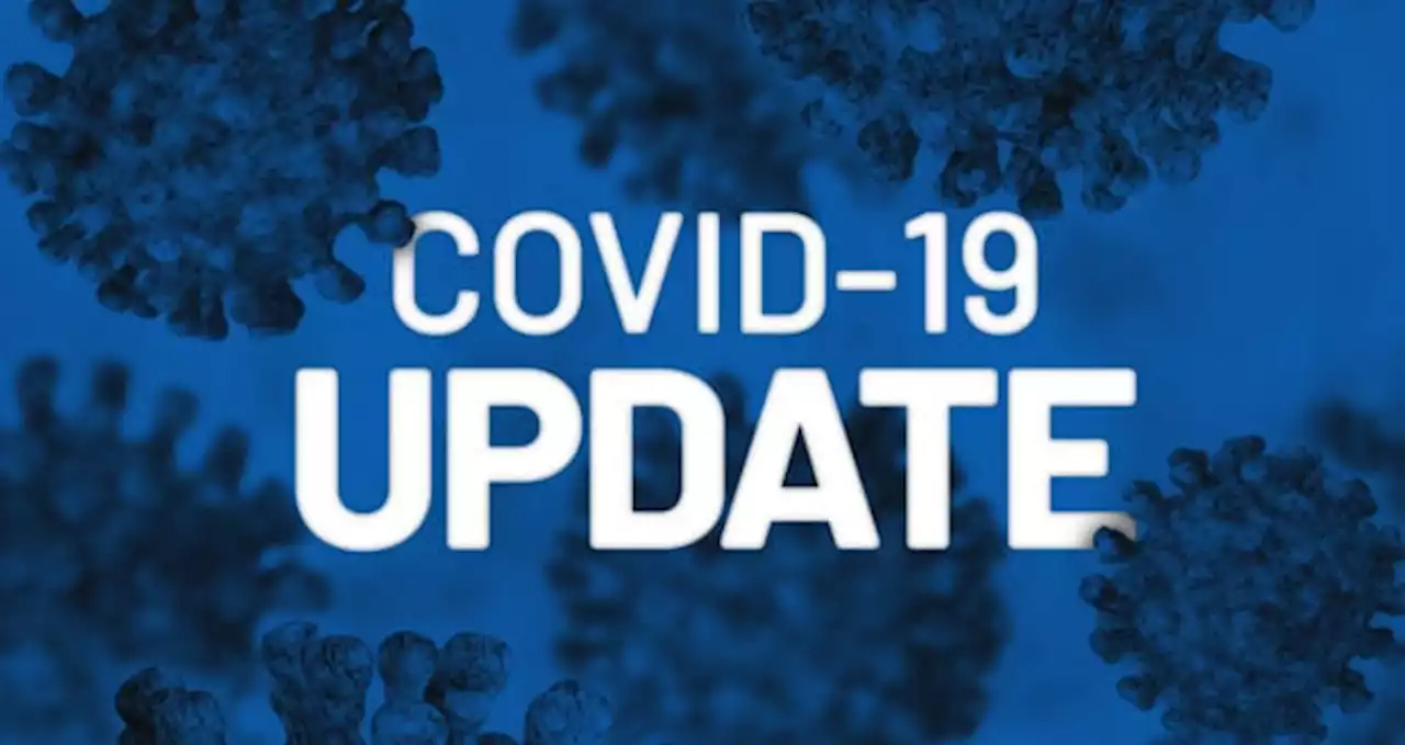 Daily Covid-19 cases fall to 119