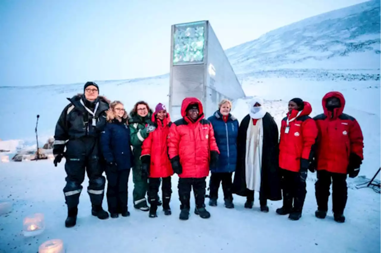 ‘Doomsday’ Arctic seed vault gets boost as efforts to secure food supplies ramp up