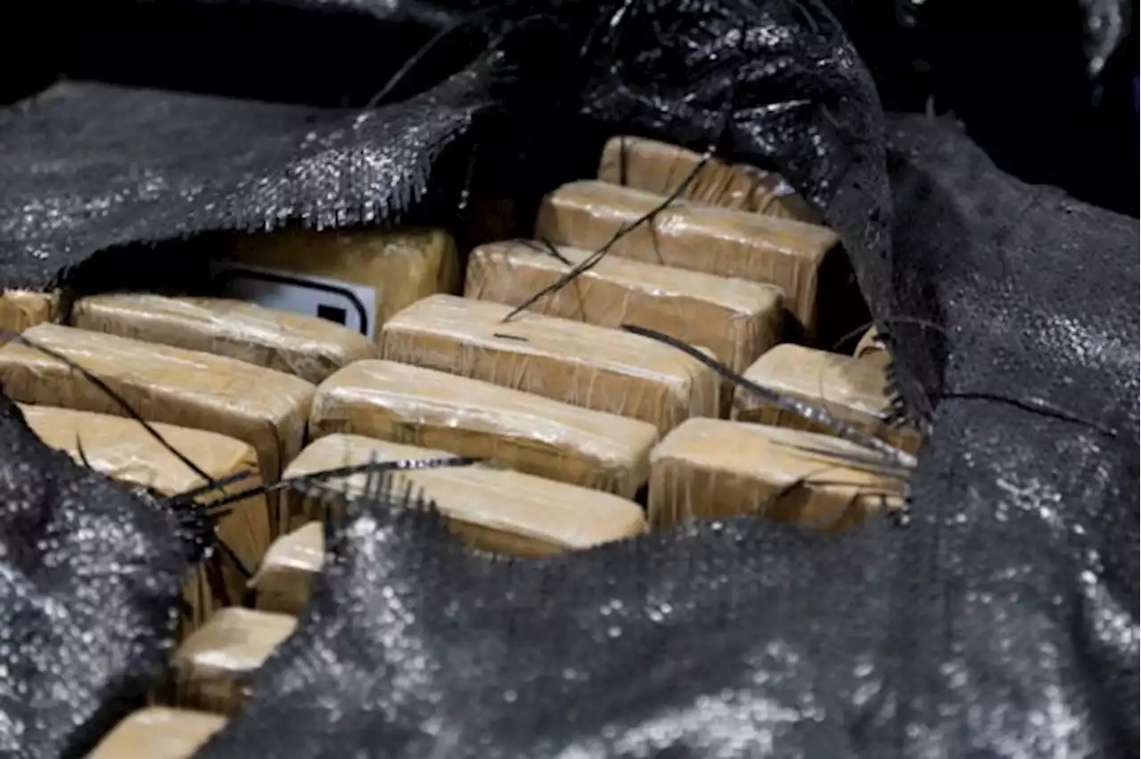 Ecuador, Belgium sign deal to fight crime after mega cocaine bust