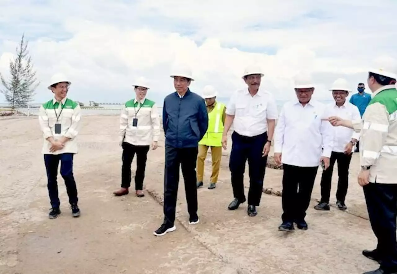 Jokowi Yakin Kawasan KIPI Jadi Industri Hijau Terbesar di Dunia