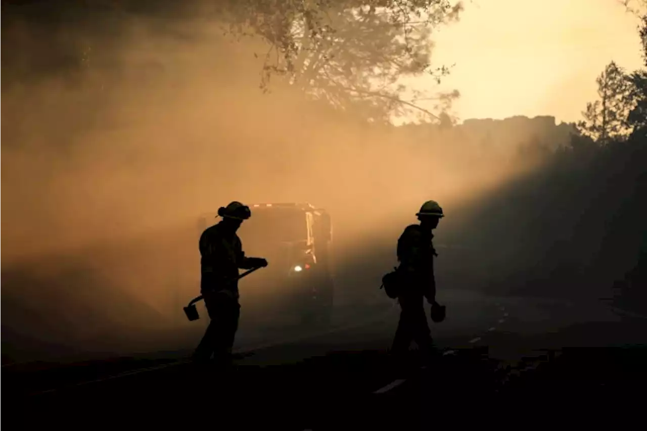 Extreme heat is a health crisis, Columbia experts say